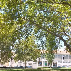 Jardim da República - Portalegre