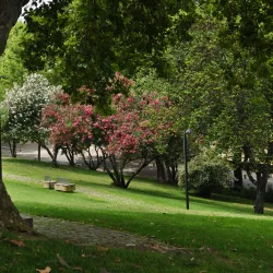 Jardim da República - Portalegre