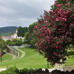Jardim da República - Portalegre