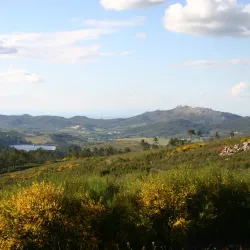 Serra de São Mamede Natural Park - Portalegre