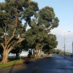 Foz do Douro - Porto