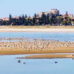 Foz do Douro - Porto