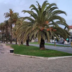 Foz do Douro - Porto