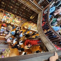Livraria Lello - Porto