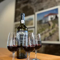 Port Wine Cellars - Porto