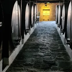 Port Wine Cellars - Porto
