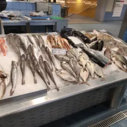 Mercado Municipal da Póvoa de Varzim (Municipal Market) - Povoa de Varzim