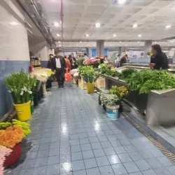 Mercado Municipal da Póvoa de Varzim (Municipal Market) - Povoa de Varzim