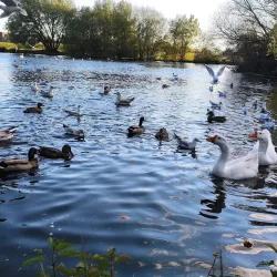 Parque da Cidade (City Park) - Povoa de Varzim