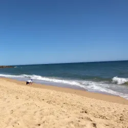 Quarteira Beach - Quarteira