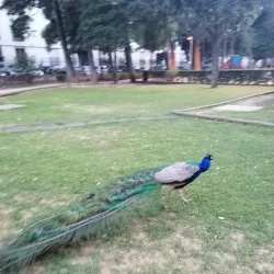 Quinta da Alagoa - Queluz