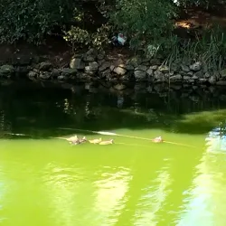 Quinta da Alagoa - Queluz