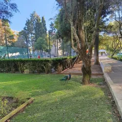 Quinta da Alagoa - Queluz