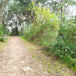 Parque Urbano de Rio de Mouro - Rio de Mouro