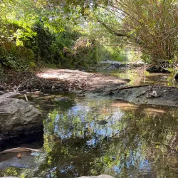 Parque Urbano de Rio de Mouro - Rio de Mouro