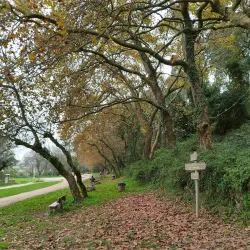 Parque Urbano de Rio de Mouro - Rio de Mouro