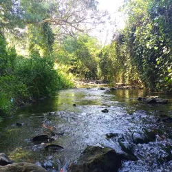 Parque Urbano de Rio de Mouro - Rio de Mouro