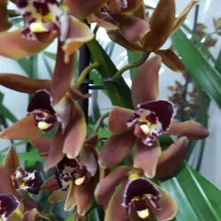 Mercado Municipal de Rio Tinto - Rio Tinto