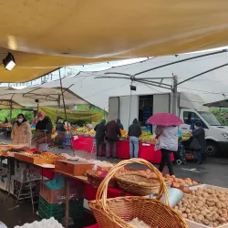 Mercado Municipal de Rio Tinto - Rio Tinto