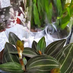 Mercado Municipal de Rio Tinto - Rio Tinto