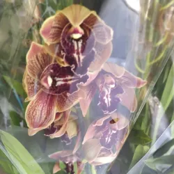 Mercado Municipal de Rio Tinto - Rio Tinto