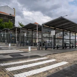 Parque das Camélias - Rio Tinto