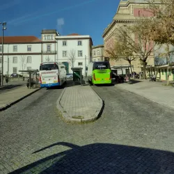 Parque das Camélias - Rio Tinto