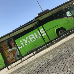 Parque das Camélias - Rio Tinto