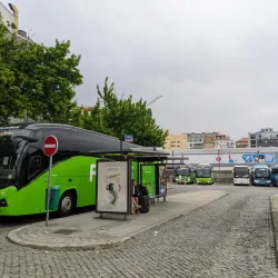 Parque das Camélias - Rio Tinto