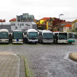 Parque das Camélias - Rio Tinto