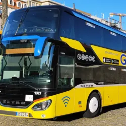 Parque das Camélias - Rio Tinto