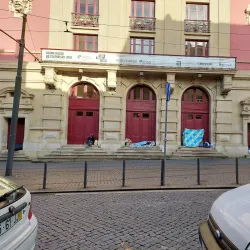 Parque das Camélias - Rio Tinto