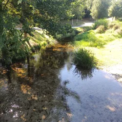 Parque Urbano de Rio Tinto - Rio Tinto