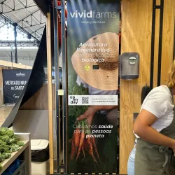 Mercado Municipal de Santarém - Santarem