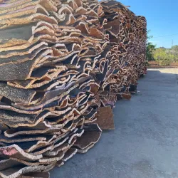 Local Cork Workshops - Sao Bras de Alportel