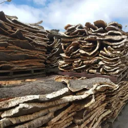 Local Cork Workshops - Sao Bras de Alportel