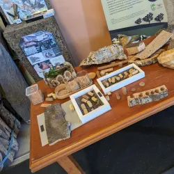 Local Cork Workshops - Sao Bras de Alportel