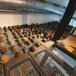 Hat Museum (Museu da Chapelaria) - Sao Joao da Madeira