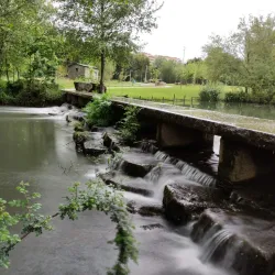 Parque da Ribeira - Sao Joao da Madeira