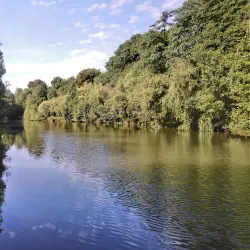 Parque da Ribeira - Sao Joao da Madeira