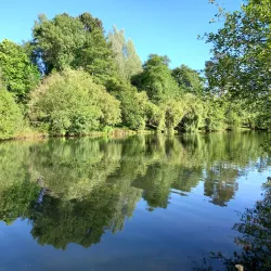 Parque da Ribeira - Sao Joao da Madeira