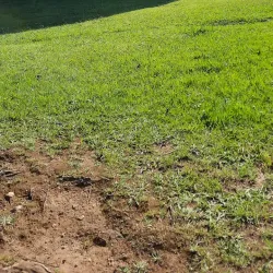 Parque da Ribeira - Sao Joao da Madeira