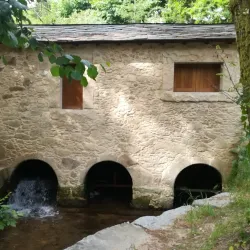 Parque da Ribeira - Sao Joao da Madeira