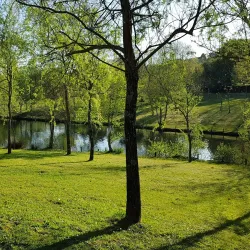 São João da Madeira City Park (Parque da Cidade) - Sao Joao da Madeira