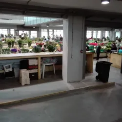 São João da Madeira Market - Sao Joao da Madeira