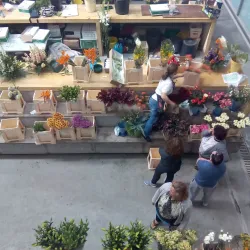 São João da Madeira Market - Sao Joao da Madeira