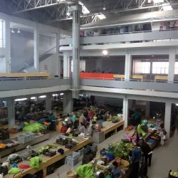 São João da Madeira Market - Sao Joao da Madeira