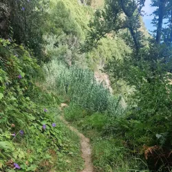 Praia da Amora - Seixal