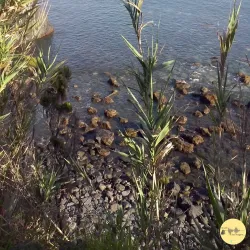Praia da Amora - Seixal