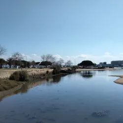 Seixal Market (Mercado Municipal do Seixal) - Seixal